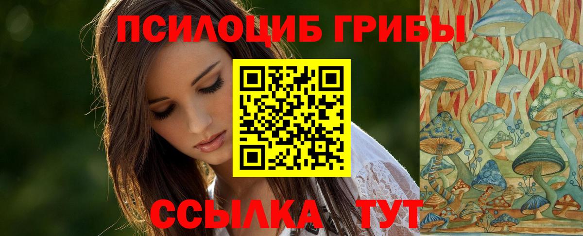 Галлюциногенные грибы Psilocybe  Вход с VPN  Карабулак  Галлюциногенные грибы мицелий 