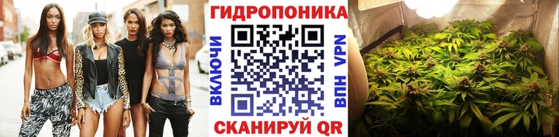 что такое   Карабулак  Бошки Шишки индика 
